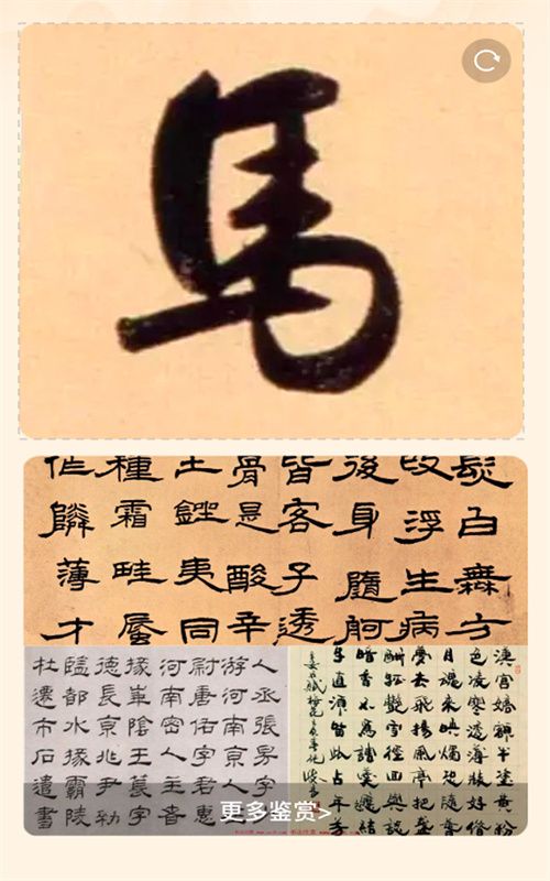 风雅一刷app