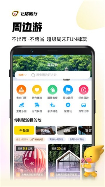 飞猪春运购票