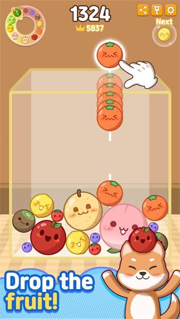 合并狂躁症
