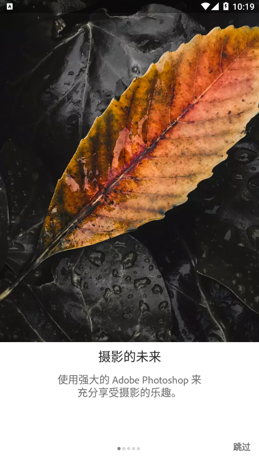 lightroom手机安卓版