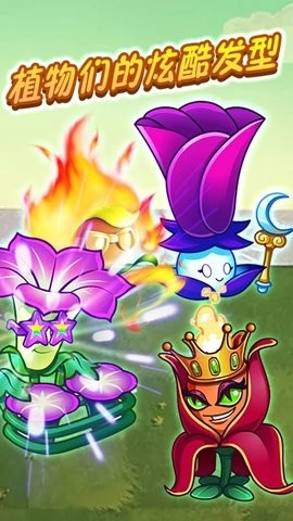 植物战怪兽双人版