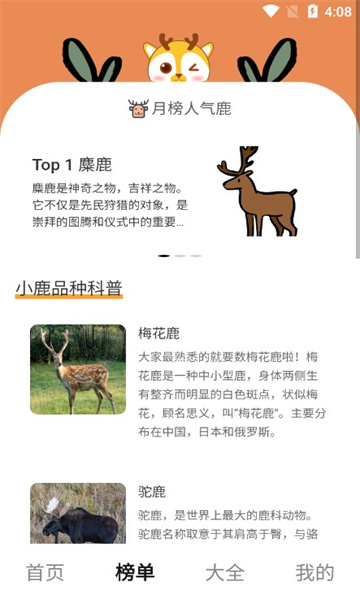小鹿趣看最新
