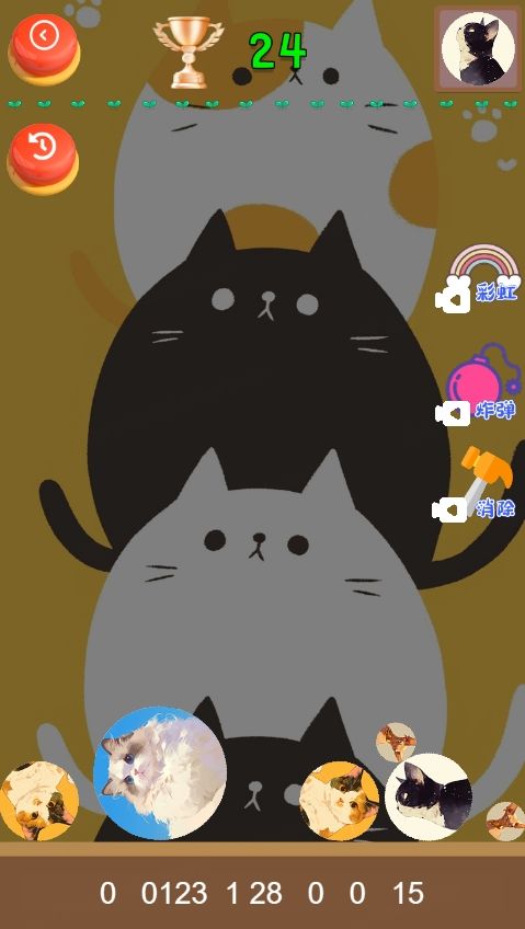 猫咪趣味合成
