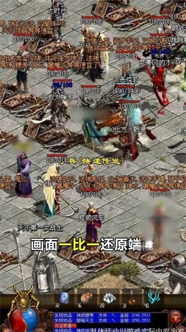 狂龙战宠单职业