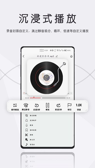 大录音师