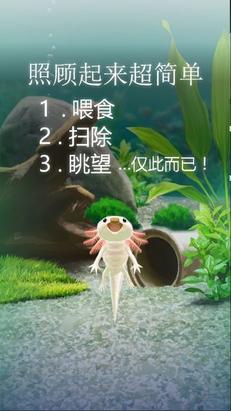治愈的蝾螈育成