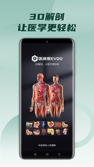 医维度解剖