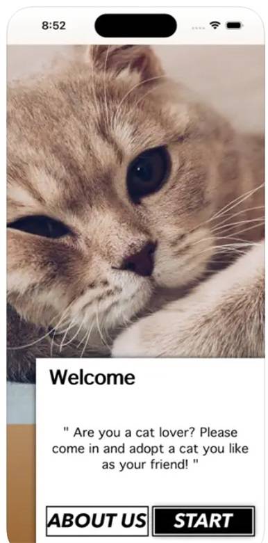 爱猫物语宠物店无病毒版