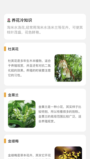 百花悦看免费