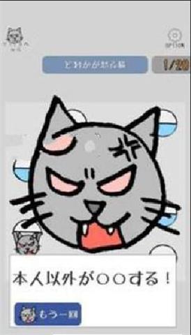 激怒猫咪