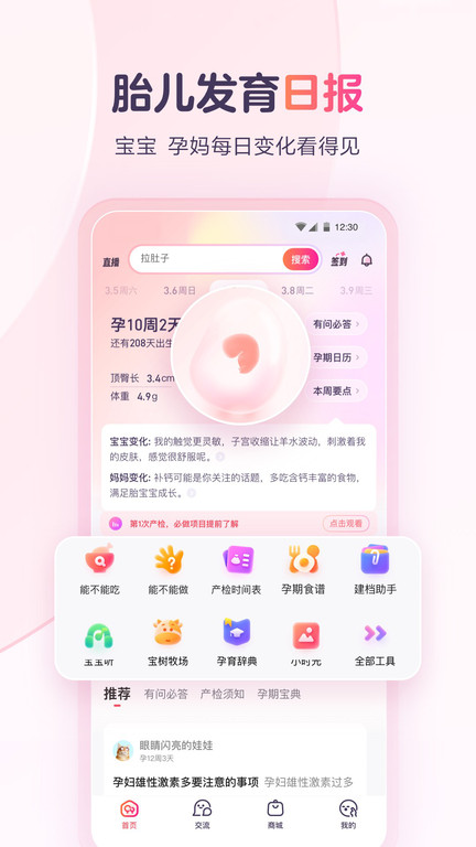 宝宝树