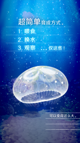 养育水母的治愈