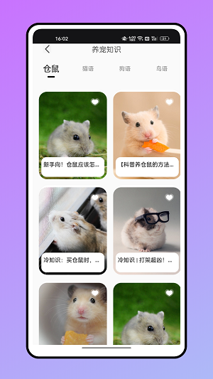 仓鼠翻译器免费