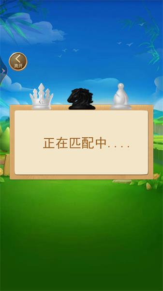 国际象棋双人