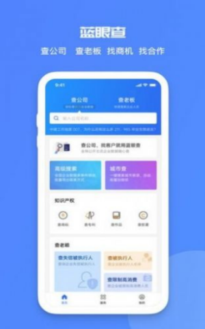 蓝眼查查询系统